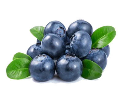The development of blueberry fruits can be divided into three stages.