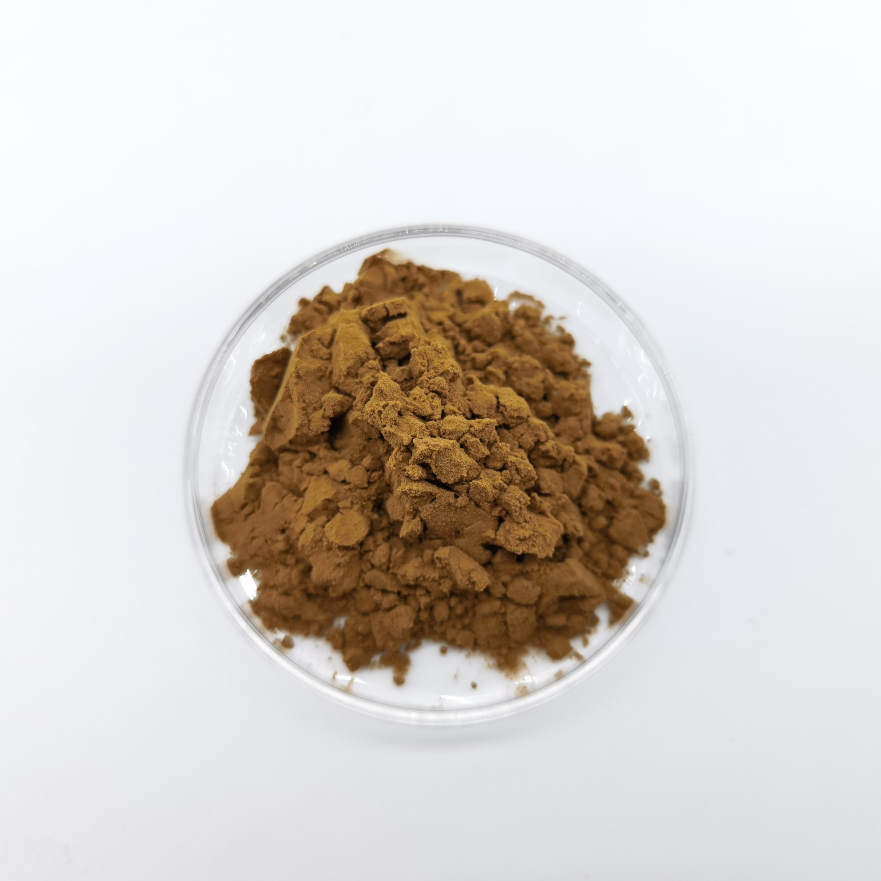 Pure Natural echinacea purpurea flower extract powder with high quality