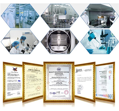 High Quality Chemical Material CAS 1078-21-3 Phenibut Powder